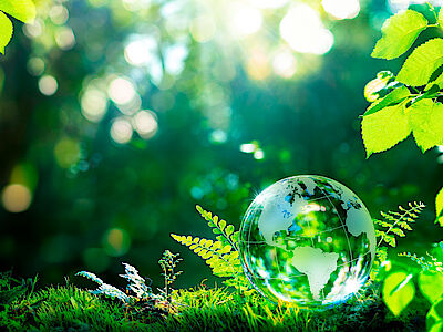 ESG - Sustainability Services Sustainability Services - ESG is the key