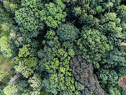 Environmental Services & Rehabilitation Geotechnics - Environmental Services & Rehabilitation